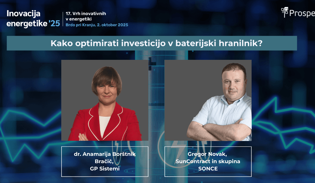 Kako optimirati investicijo v baterijski hranilnik?